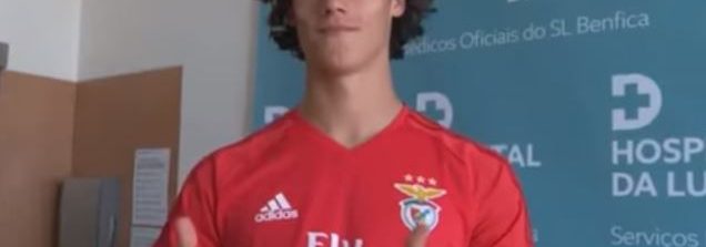 Inter, seguito Svilar del Benfica. La Scheda