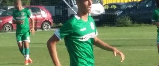 dimo-krastev