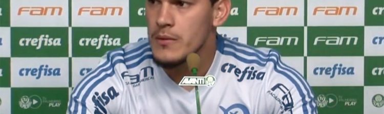 gustavo-gomez