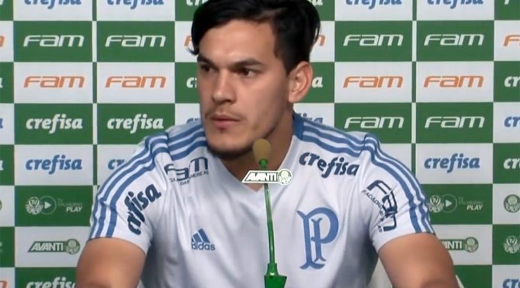 gustavo-gomez